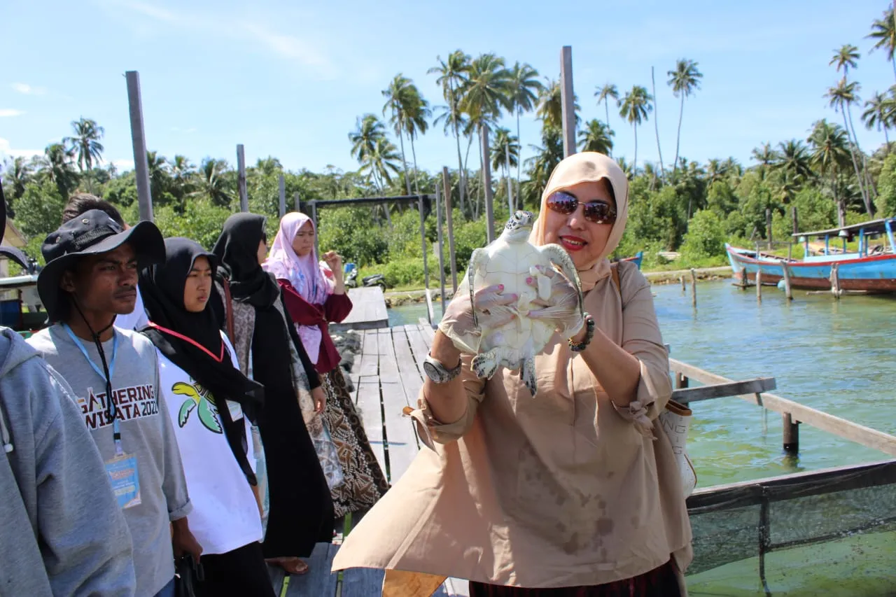 Rombongan Gathering Wisata Pulau Banyak Tinjau Penangkaran Penyu