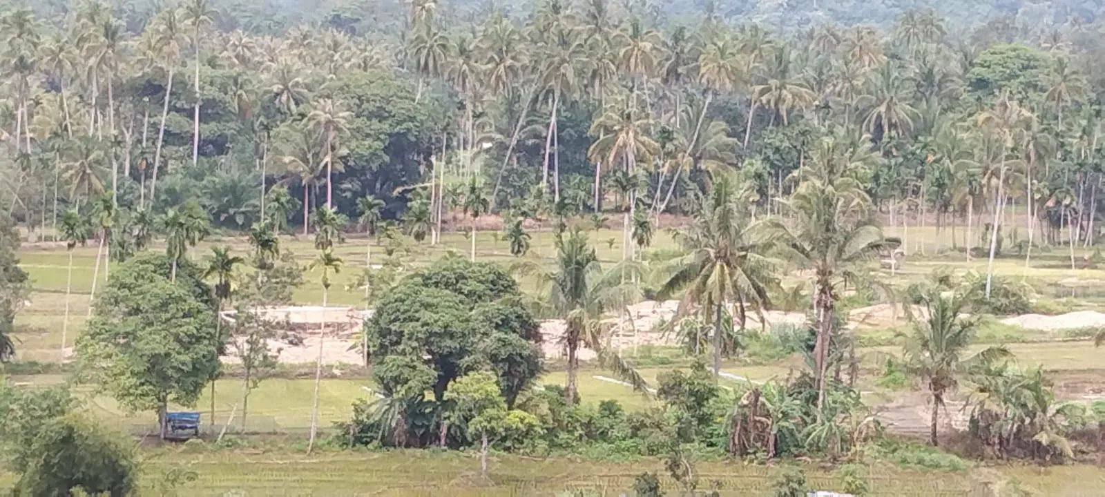 PETI Masih Merajalela Di Ulu Barumun, Kadis LH Tidak Bisa Bertindak