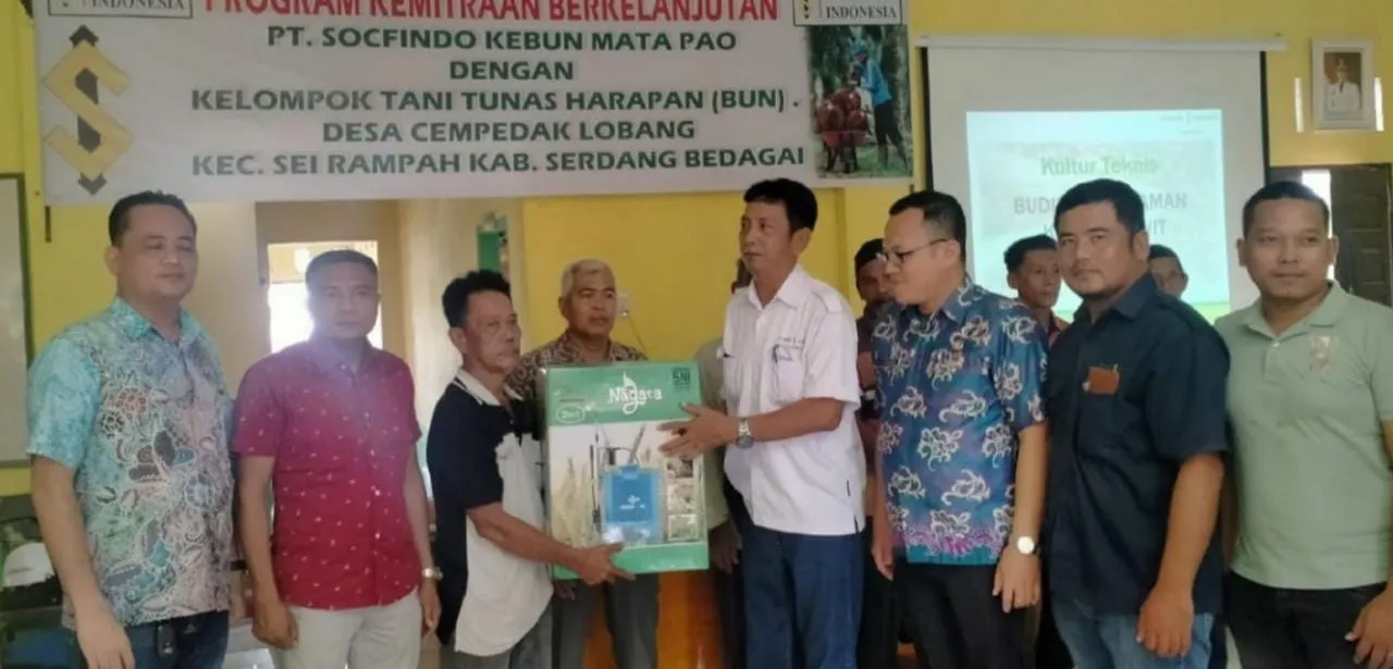 Socfindo Mata Pao Bantu Alat Semprot Ke KT