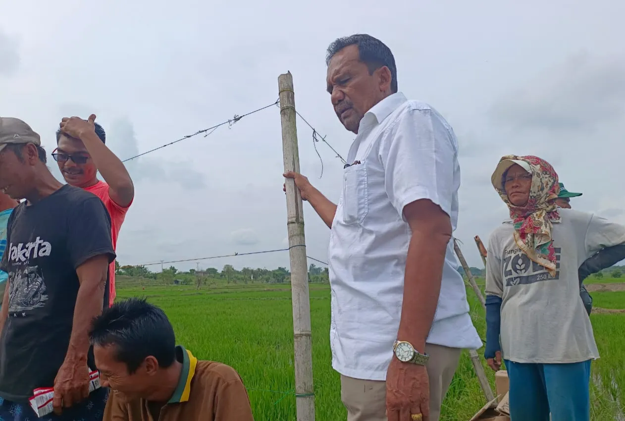 Dinas Pertanian Simalungun Laksanakan Pengendalian Hama Di Huta Bayuraja