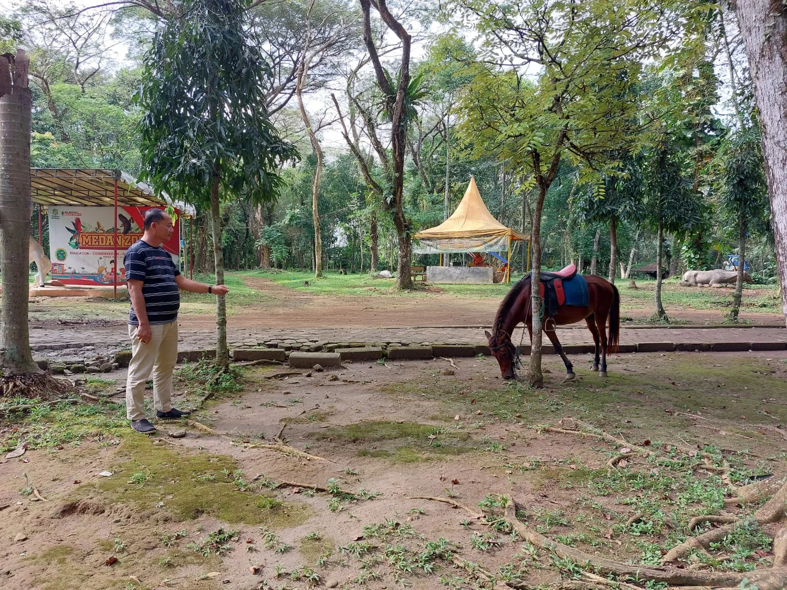 Tingkatkan Pengunjung Medan Zoo, PUD Pembangunan Gencar Sosialisasi Dan Promosi