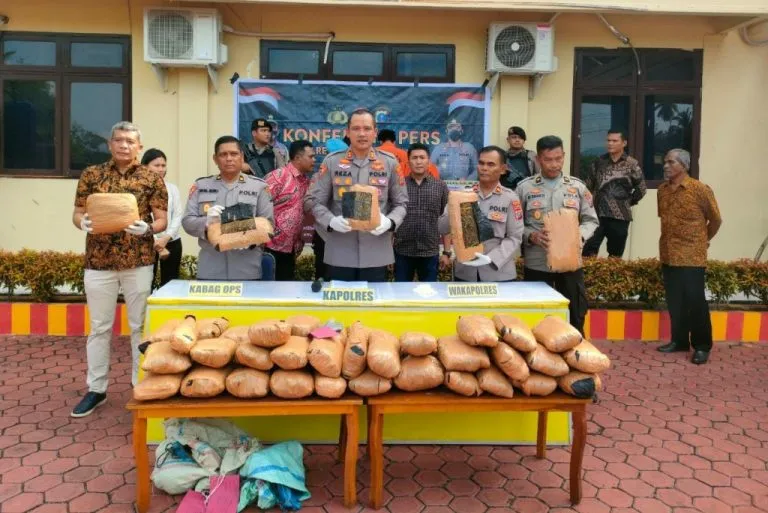 Dor…! Polres Madina Amankan 47 Kg Ganja