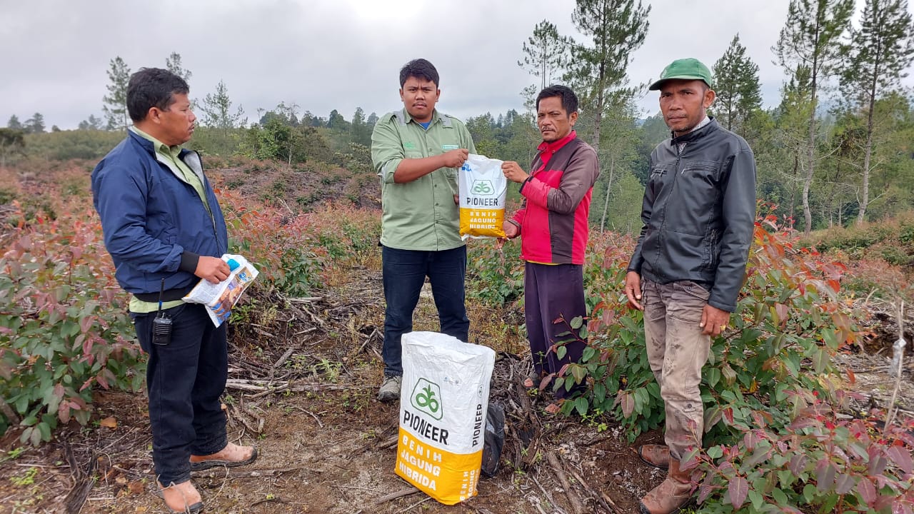 Plasma Intercop TPL Terima Bantuan Bibit Jagung 17 Kg