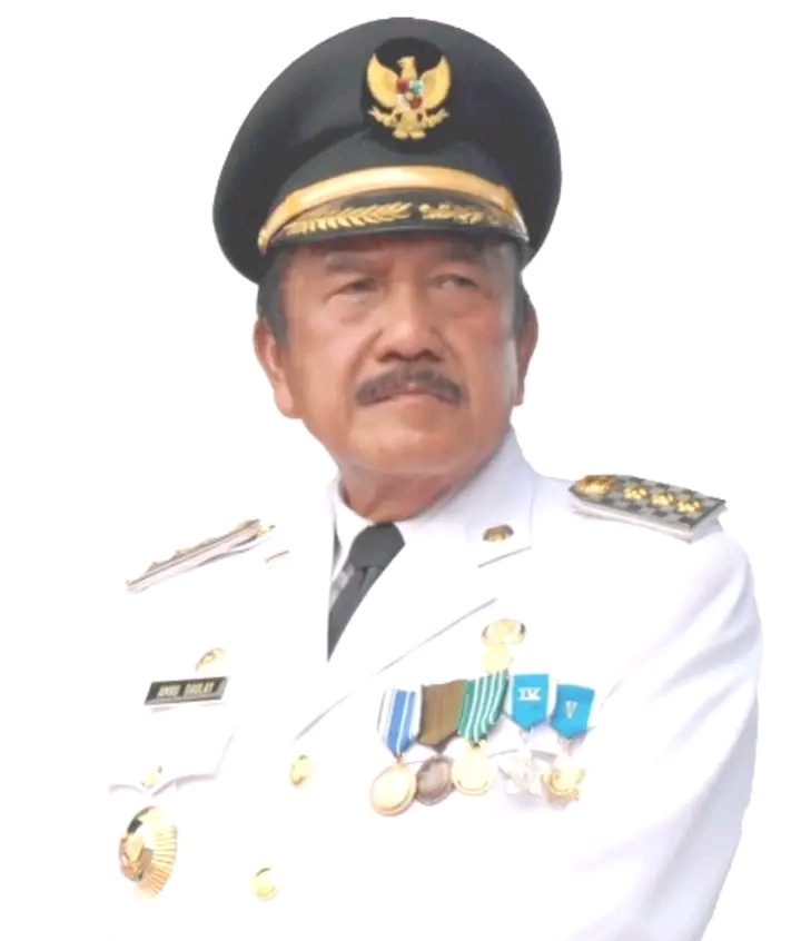 Semoga Jasa Amru Daulay Untuk Madina Menjadi Limpahan Pahala