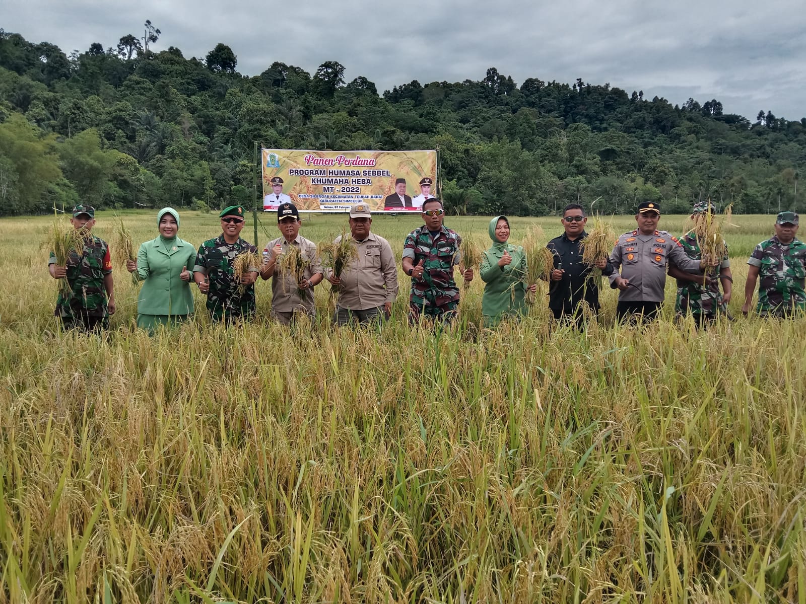 Kadis Pertanian: Tahun Ini Simeulue Surplus Gabah Dan Beras