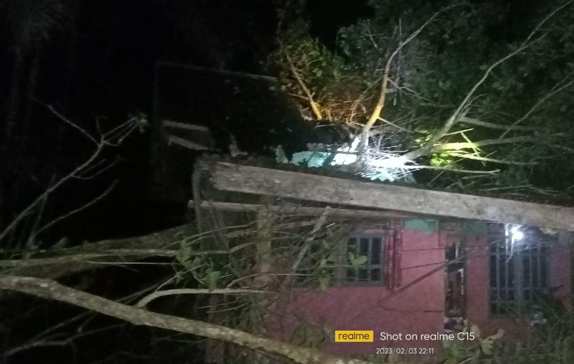 Rumah Warga Rusak Tertimpa Pohon Di Aceh Timur