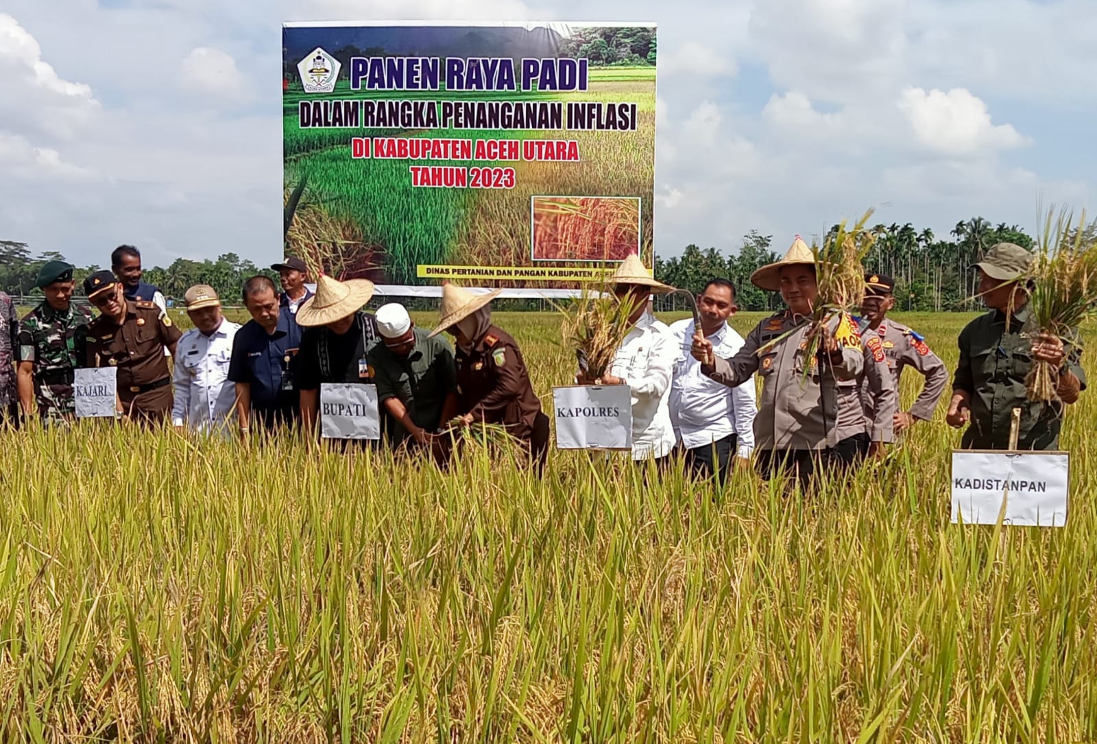 Petani Paya Bakong Panen Raya Di Tengah Inflasi