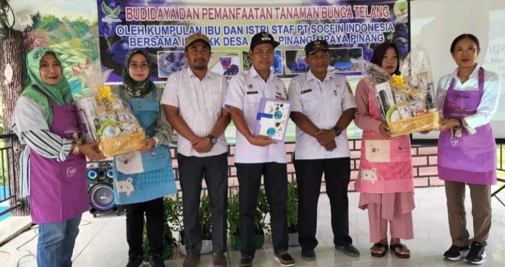 PT Socfindo Kebun Tanah Besih Sosialisasi Manfaat Bunga Telang