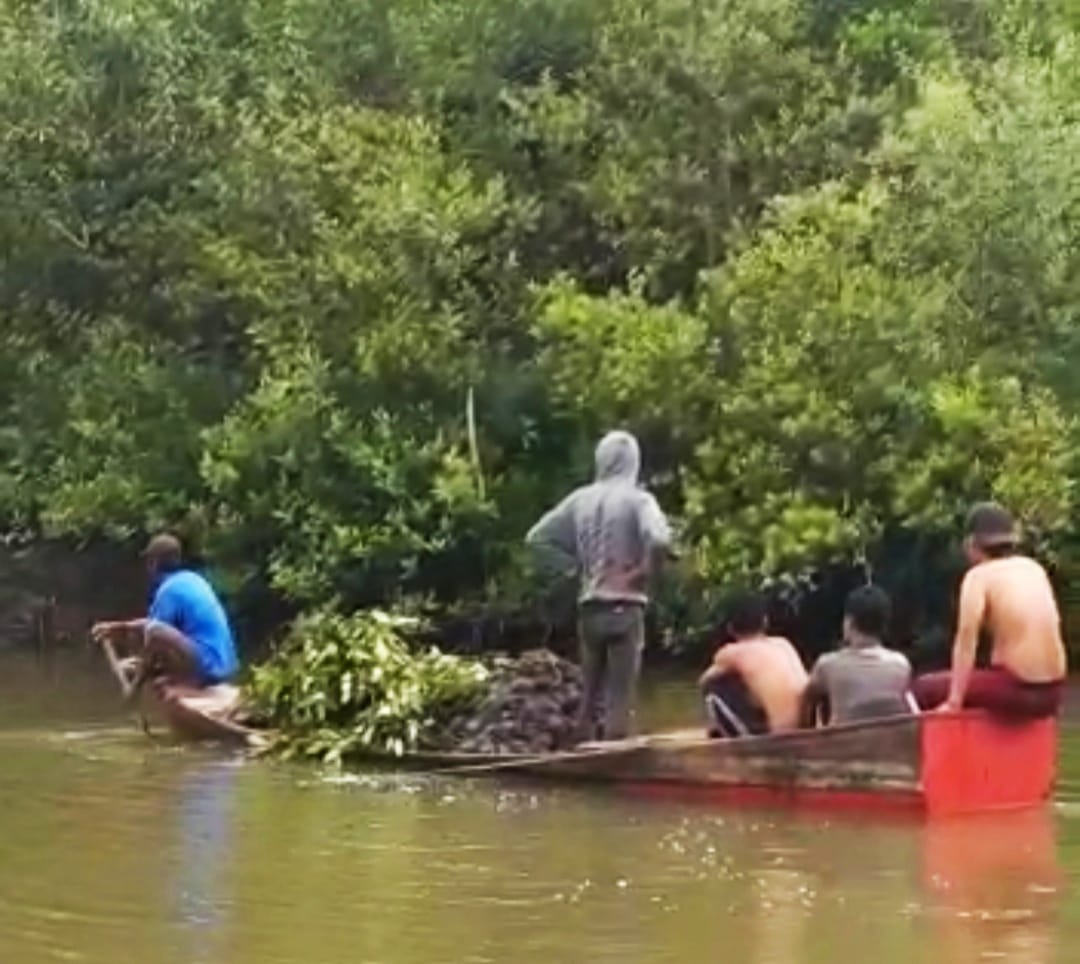PKSM Bersama Masyarakat Bangun Jembatan, Tanam 4.000 Batang Mangrove Di Paloh Panglima Percut Sei Tuan