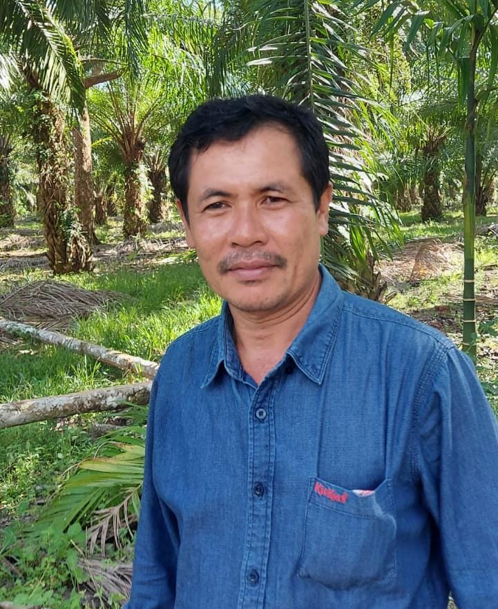 Apkasindo Aceh Akan Umumkan Harga TBS Dari Seluruh PKS, Termasuk Aceh Singkil