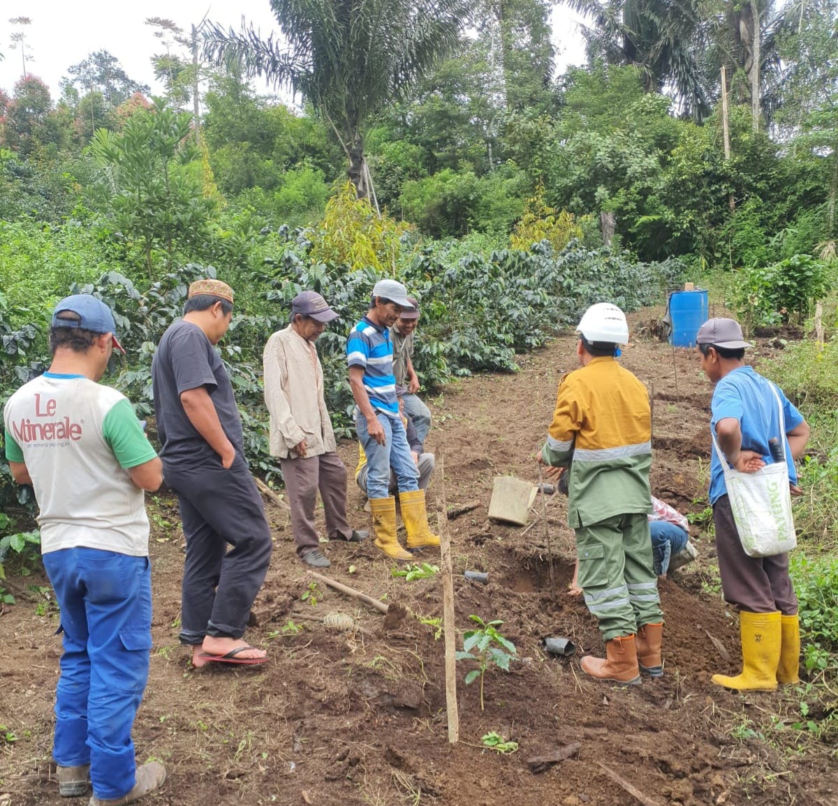 SMGP Dampingi Poktan Berdikari Pupuk Organik