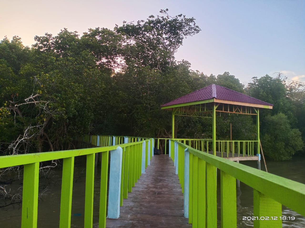 Mangrove Asahan Bagai Kilau "Mutiara Dalam Kerang"