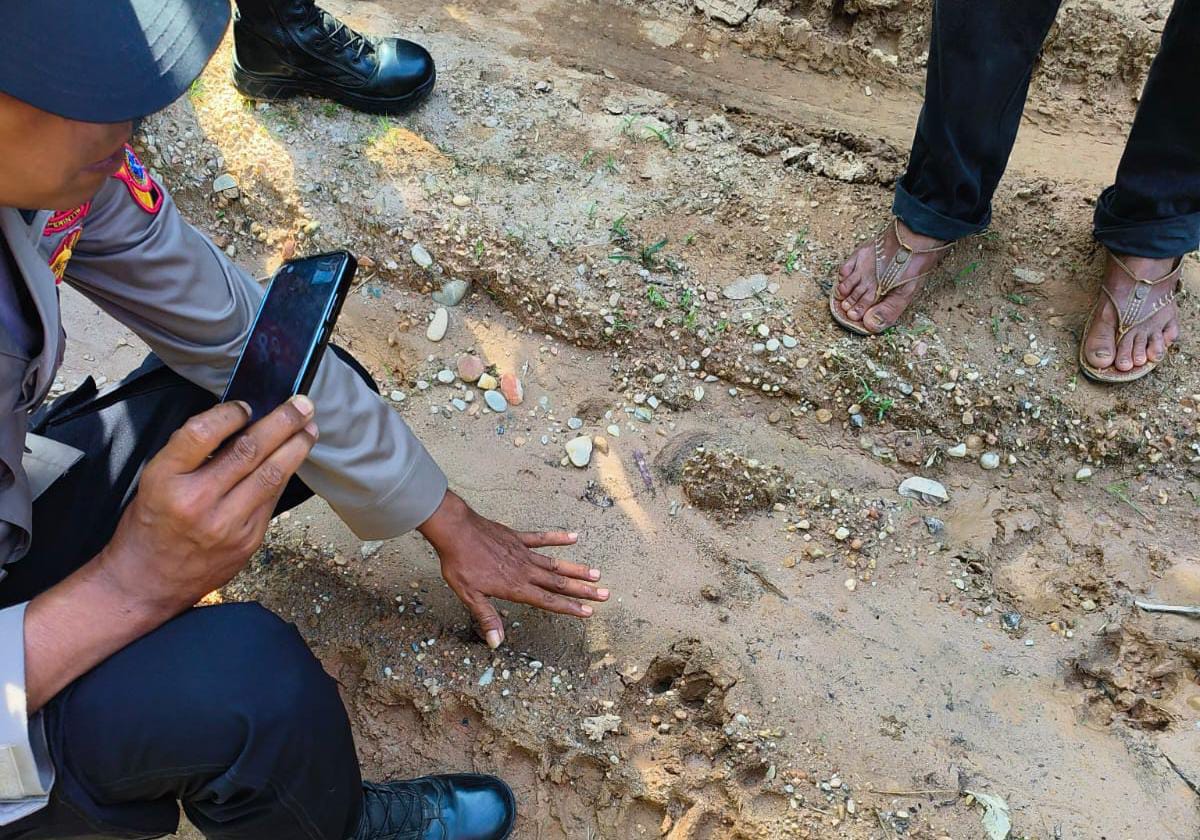 Jejak Harimau Meluas Di Aceh Timur