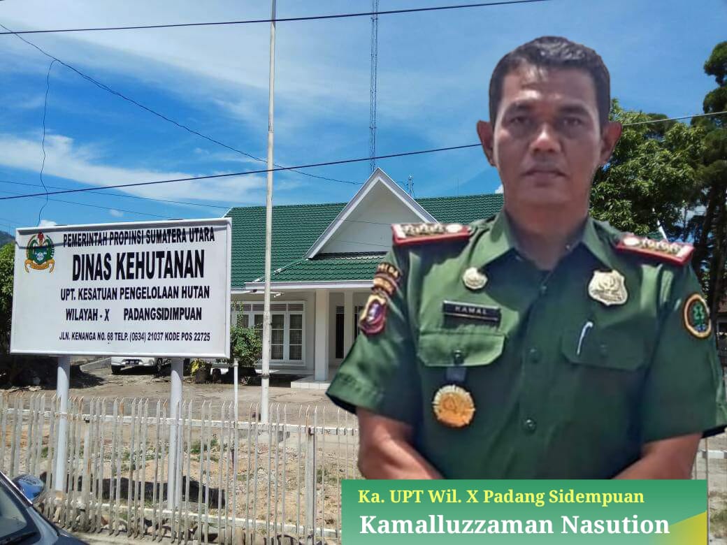 Illegal Logging Di Tapsel, Izin PT. PLS Habis Tapi Tidak Dicabut