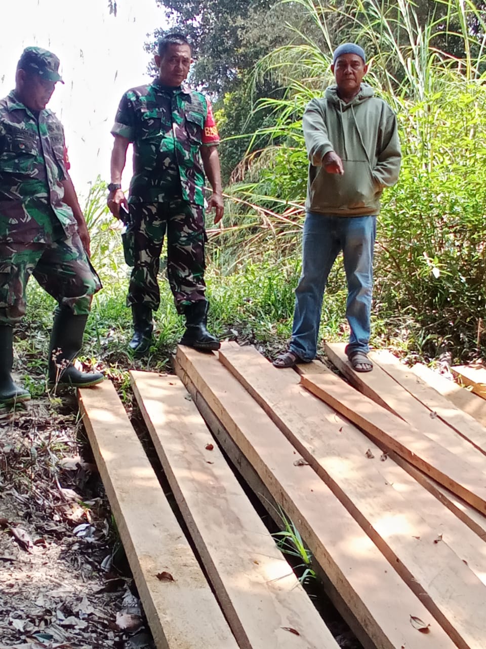 TNI Dan HMB Temukan Aktivitas Illegal Logging Di Mosa Tapsel