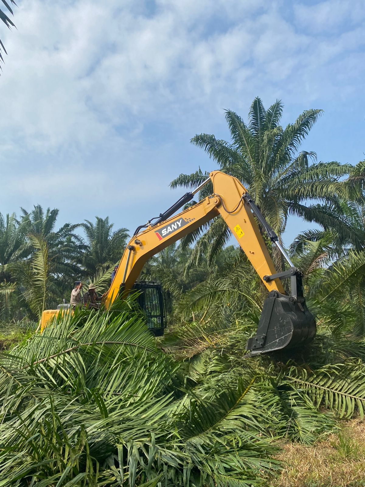 Terkait Dugaan Jual Beli Lahan Kebun Bulu Cina, PTPN-2 Laporkan Ke Kejatisu