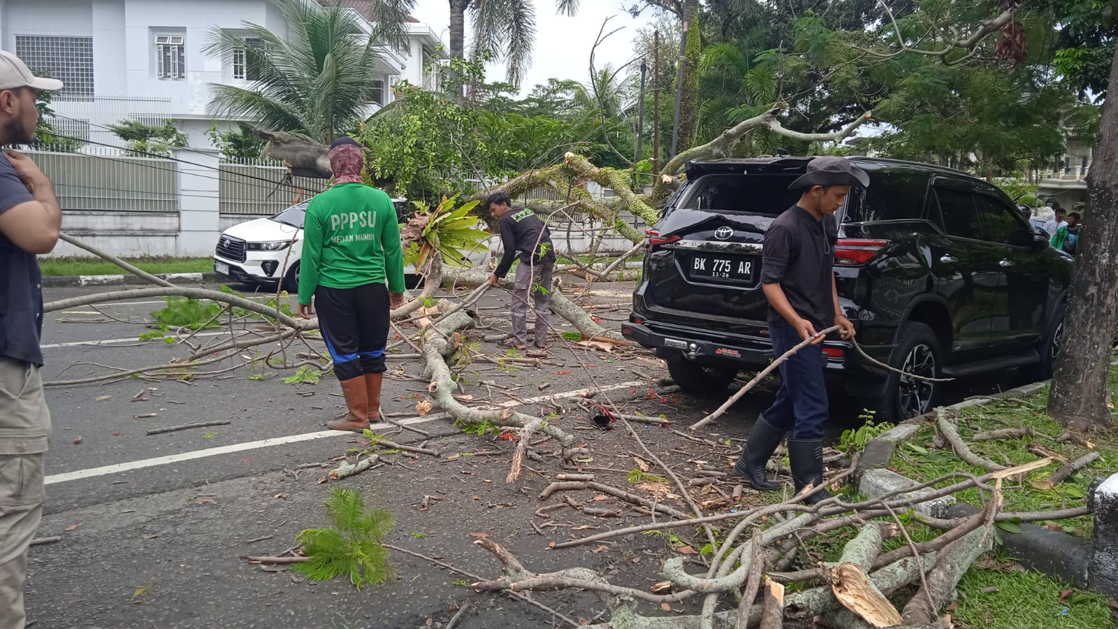 Dua Mobil Ringsek Tertimpa Pohon