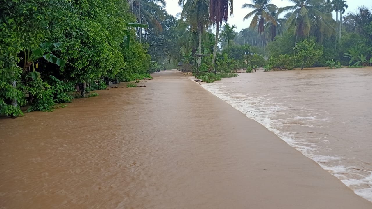 Direndam Banjir,<br>Petani Tangan-tangan Abdya Terancam Gagal Panen