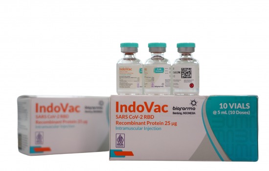 Kantongi EUA dari BPOM Vaksin IndoVac, Bio Farma Siap Jadi Booster Penerima Vaksin Primer Pfizer