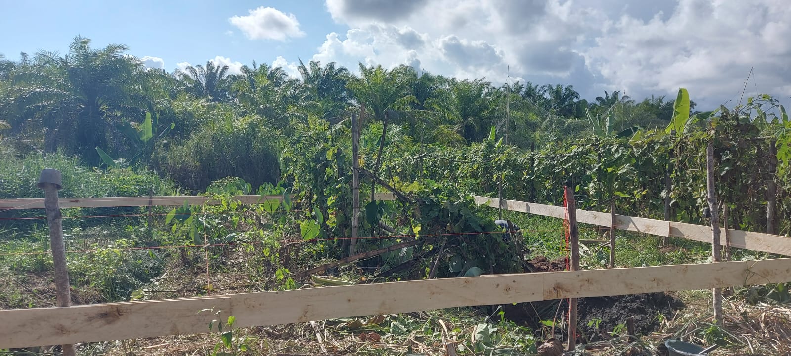 Oknum Kades Di Abdya Siap Ikuti Proses Hukum
