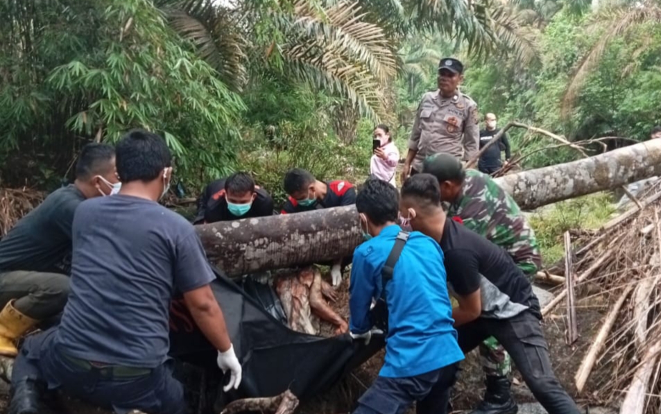 Sepekan Menghilang, HB Sirait Ditemukan Sudah Meninggal Dunia