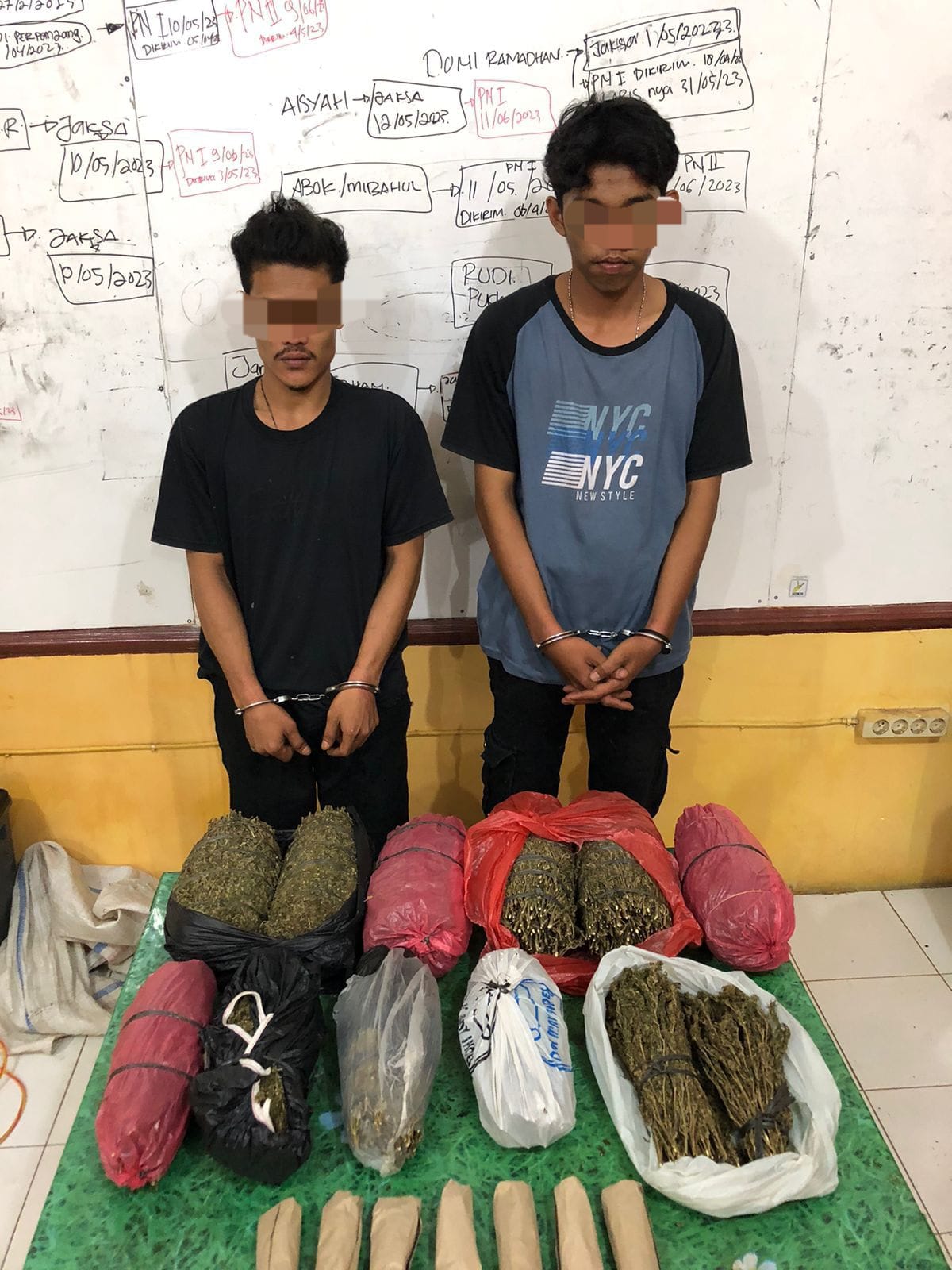 Miliki 8,430 Gram Ganja, 2 Warga Abdya ‘Gol’