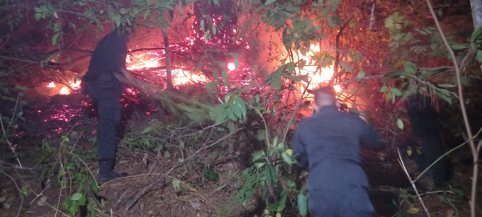 Kawasan Hutan Lindung Seulawah Terbakar