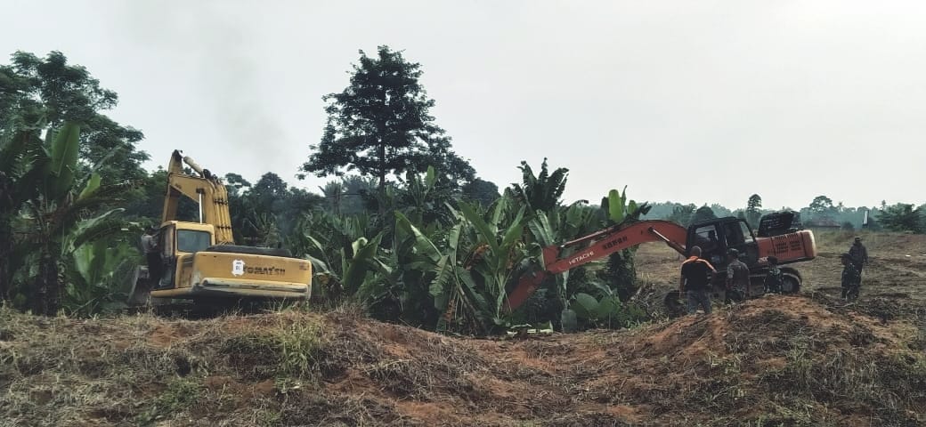 6 Ekskavator Bersihkan Lahan 70 Ha HGU PTPN 2 Kebun Limau Mungkur