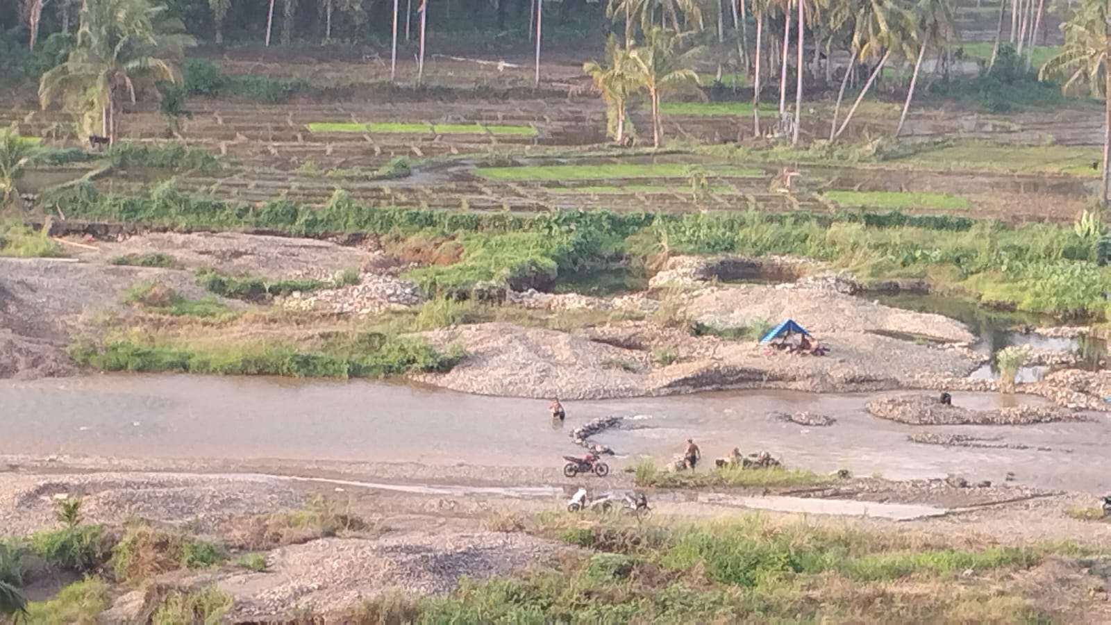 PETI Di Palas Terkesan Dibiarkan