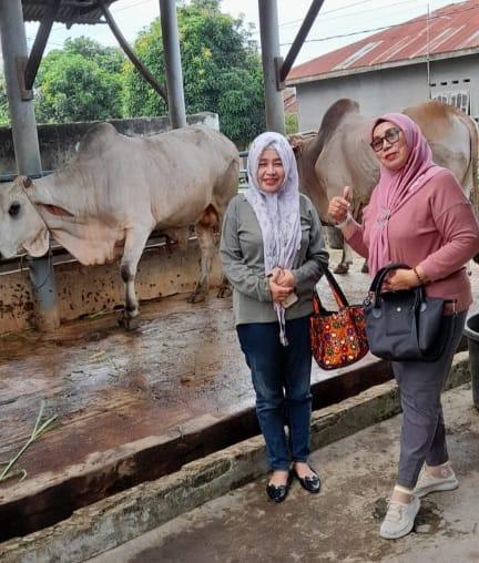 Rayakan Idul Adha 1444 H, IKAL SMAN 6 Medan Sembelih 7 Lembu