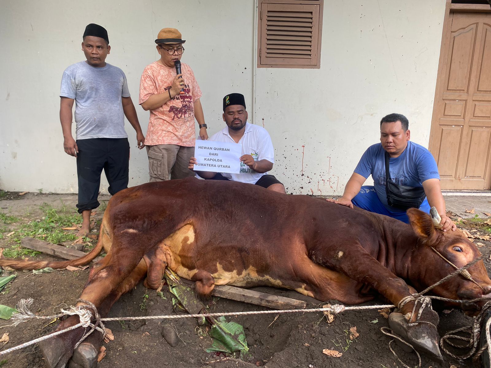 Gema Santri Nusa Dan Majlis Sholawat Ahlul Kirom Sembelih 2 Hewan Kurban