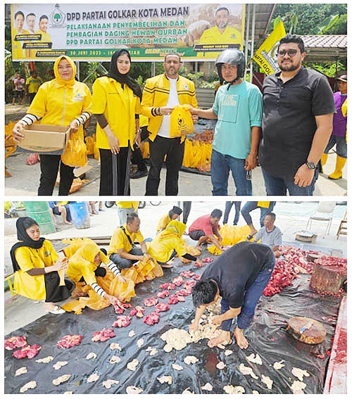 Partai Golkar Medan Polonia Sembelih Sapi Kurban Berbobot 400 Kg
