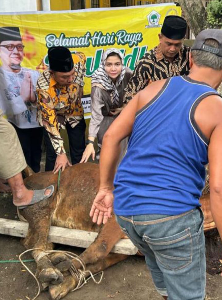 Golkar Batubara Sembelih Dua Hewan Kurban