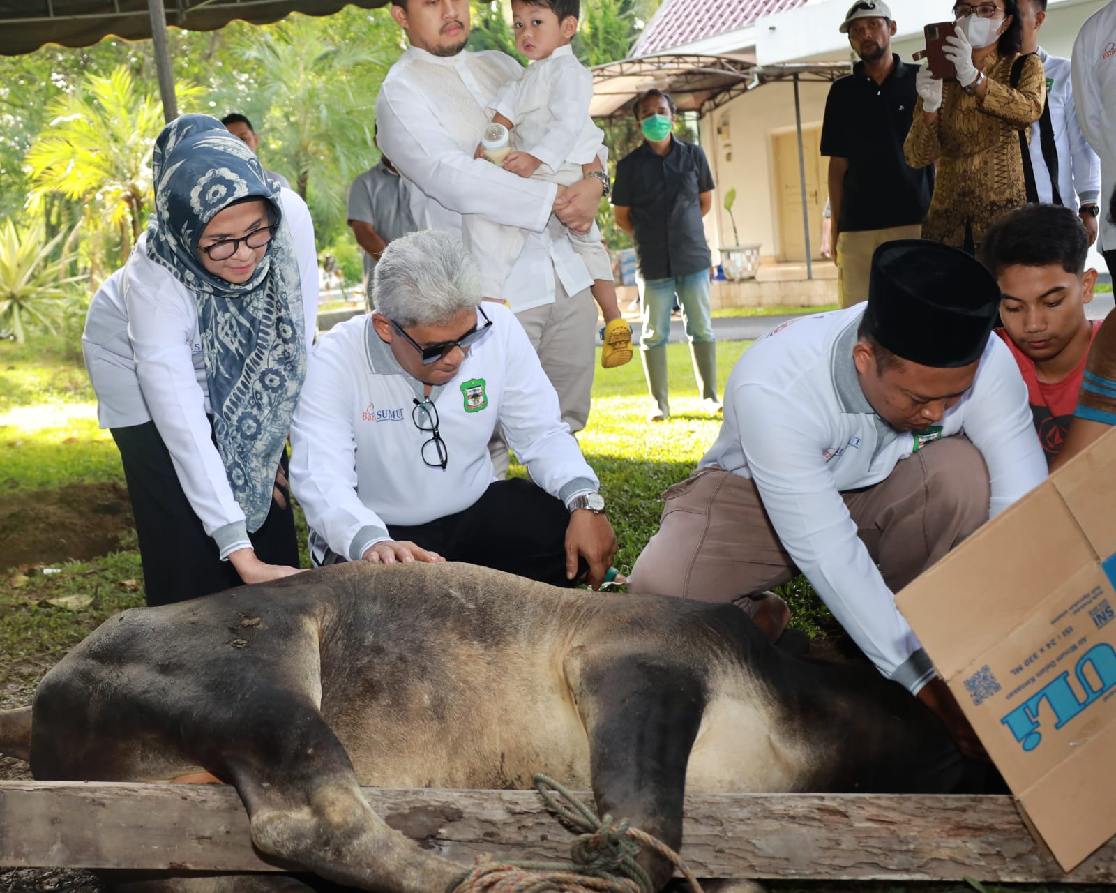 Pemko P. Siantar Kurban 9 Ekor Sapi