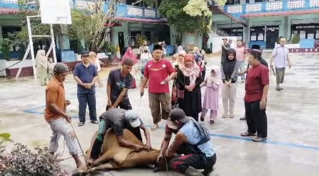 SMAN 3 Langsa Sembelih 4 Ekor Sapi