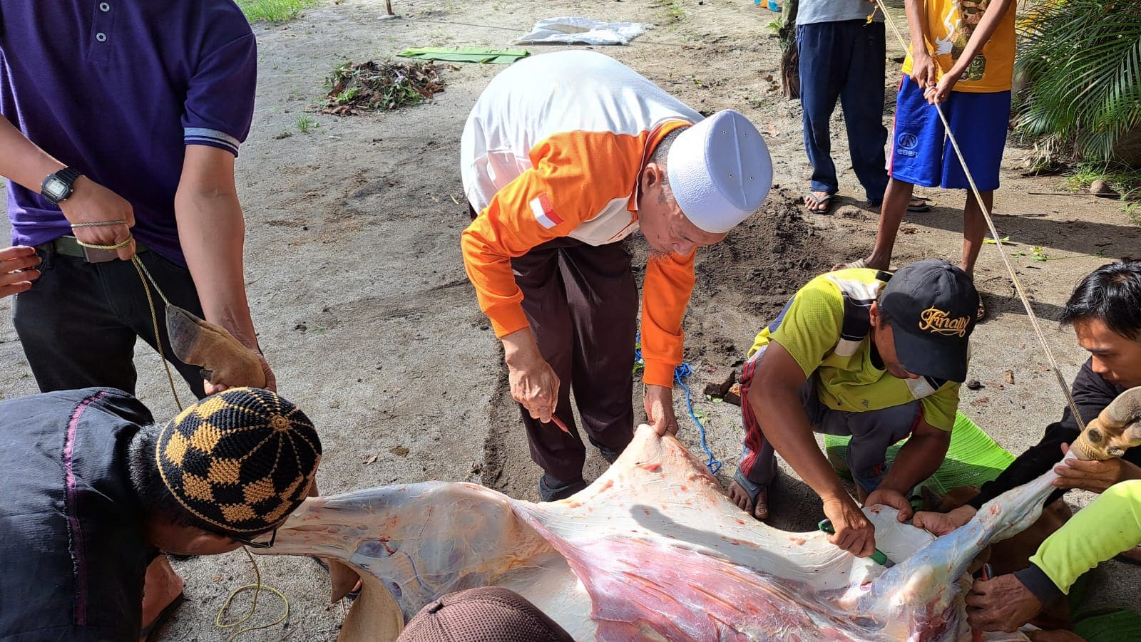 H. Hidayatullah, SE Tebar Hewan Qurban, 41 Kambing dan 3 Sapi