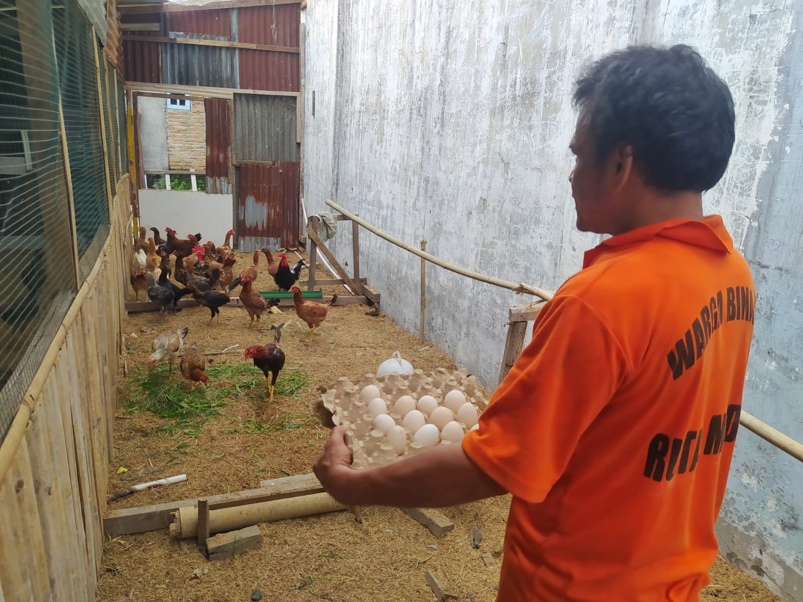 Bersyukur Dibina Di Rutan Tanjunggusta, Piter Hutasoit Siap Jadi Peternak Ayam