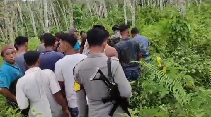 Kepergok 2 Harimau, Warga Kotanopan Makin Resah