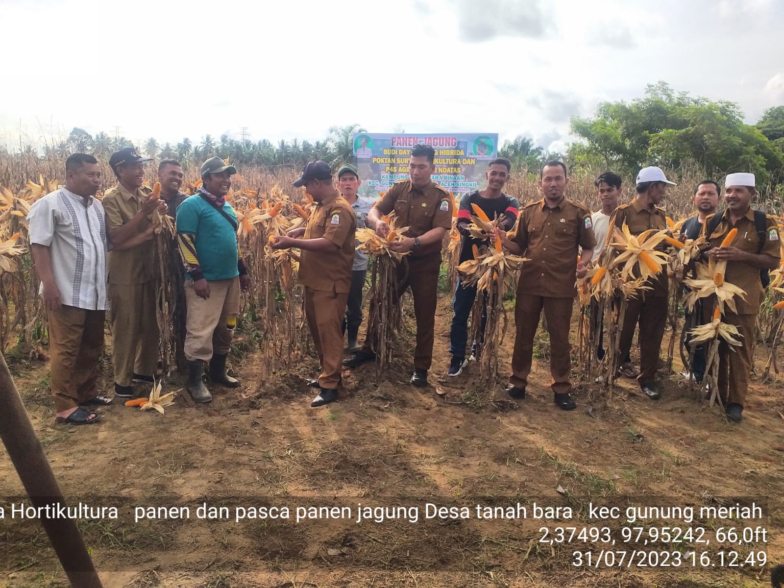 Jaga Stabilitas Pangan, Aceh Singkil Dongkrak Produktivitas Jagung