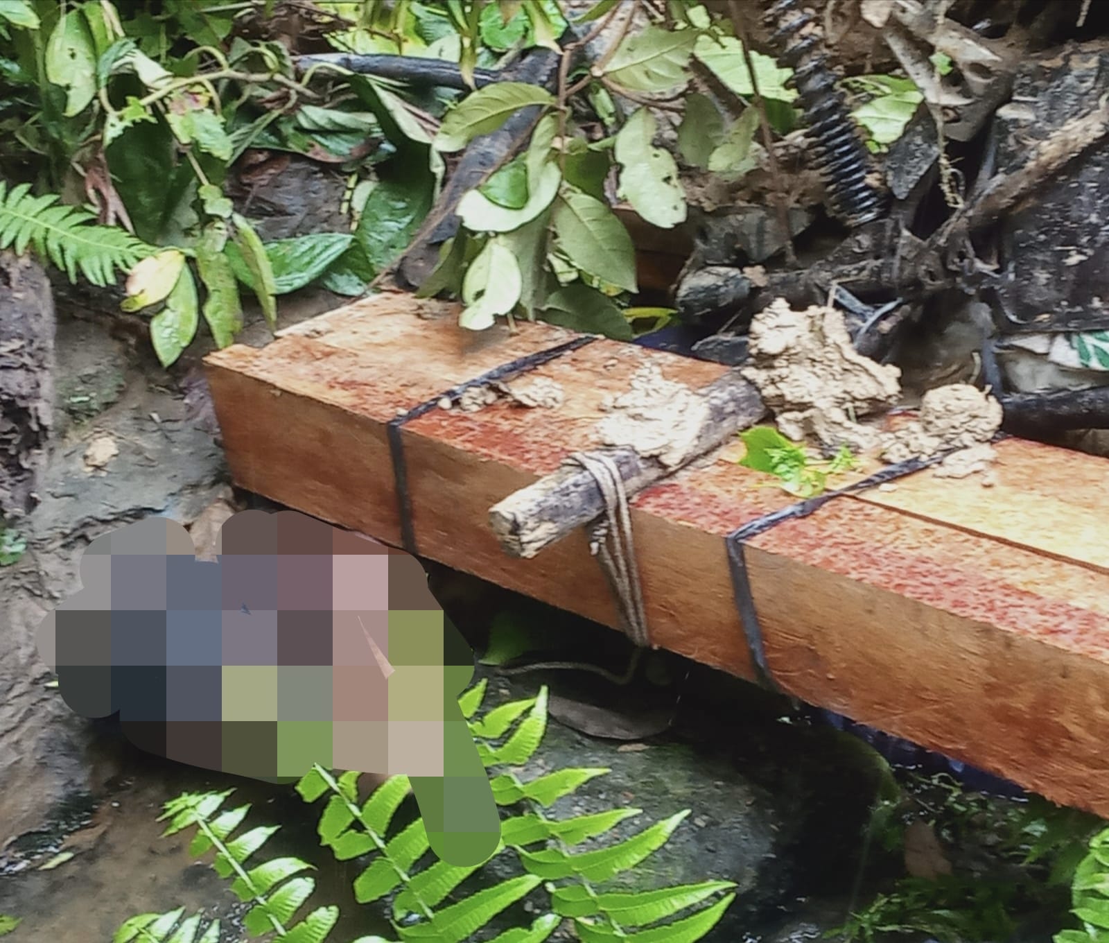 Heboh, Mayat Tertimpa Sepedamotor Ditemukan Di Desa Jambo Labu