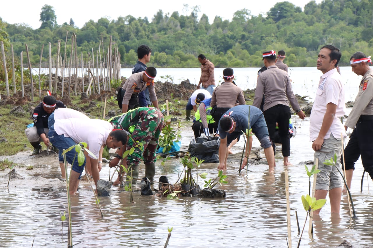 Kapolres Simeulue Lestarikan Mangrove