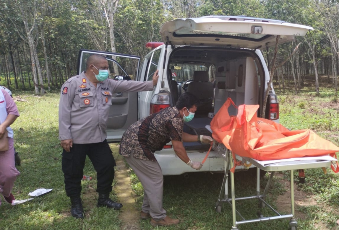 Karyawan Temukan Mayat Wanita Tanpa Busana Di Areal Kebun PT. Bridgestone