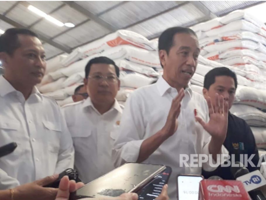 Antisipasi Penurunan Cadangan, Pemerintah Impor Beras 250 Ribu Ton