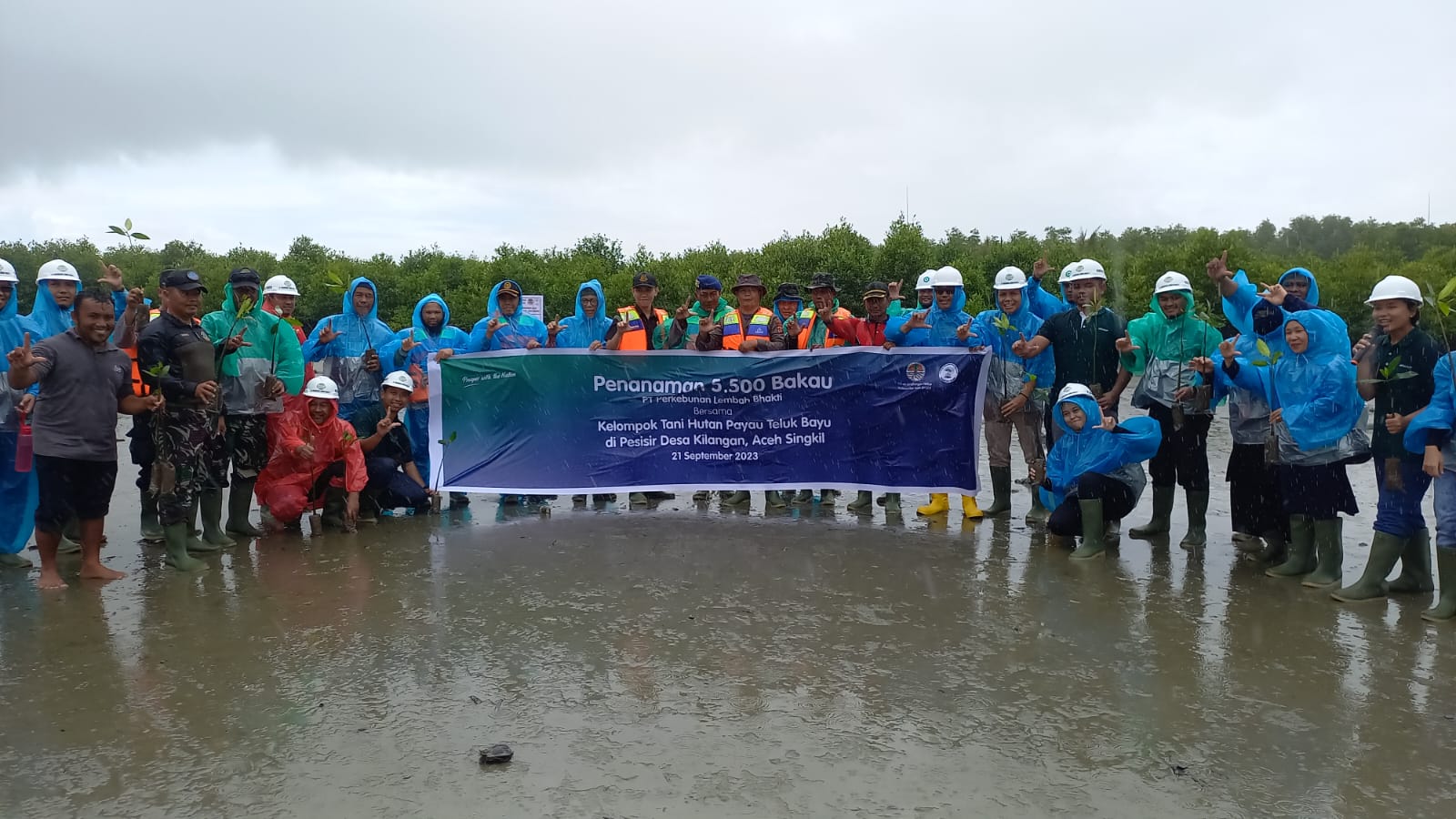 PT PLB Tanam 40.900 Mangrove Di Pantai Aceh Singkil