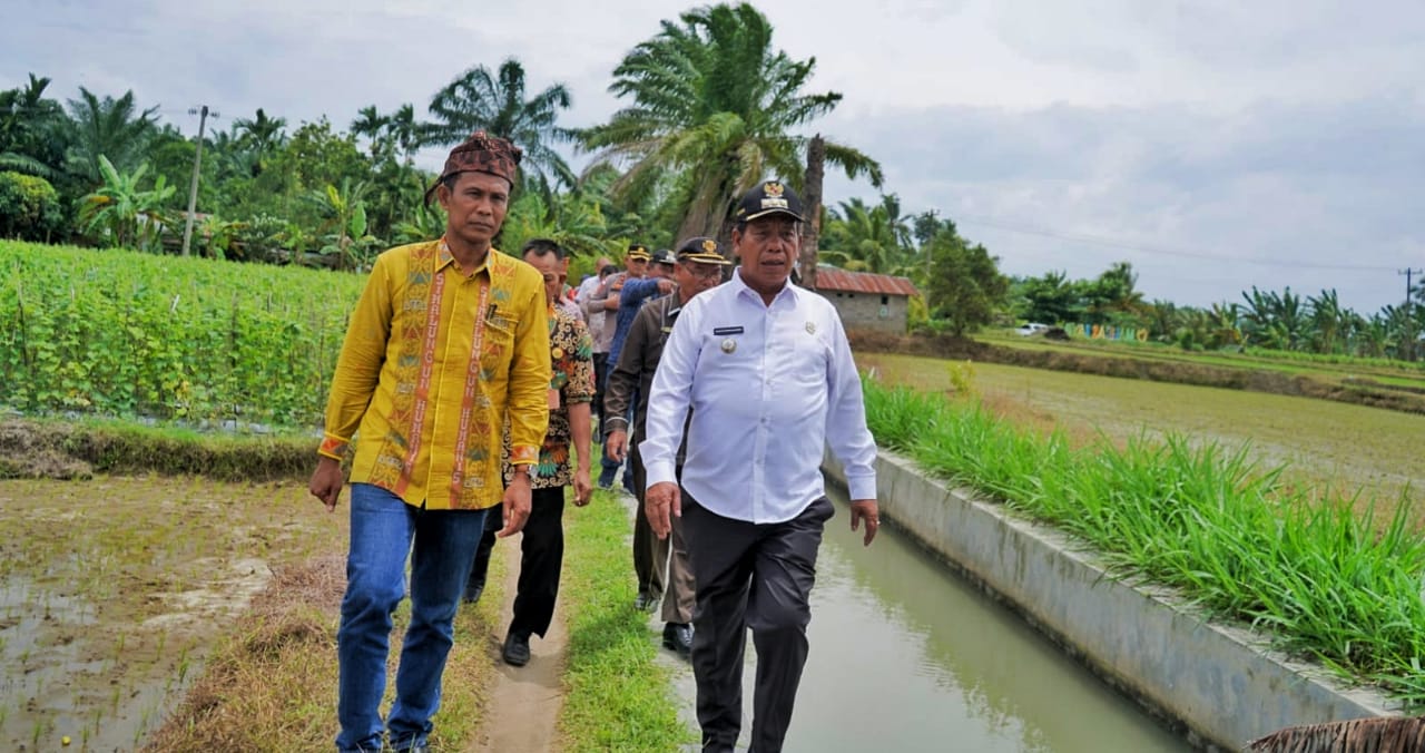 Debit Air Berkurang, Petani Huta Bayuraja Mengeluh Tidak Bisa Tanam Padi