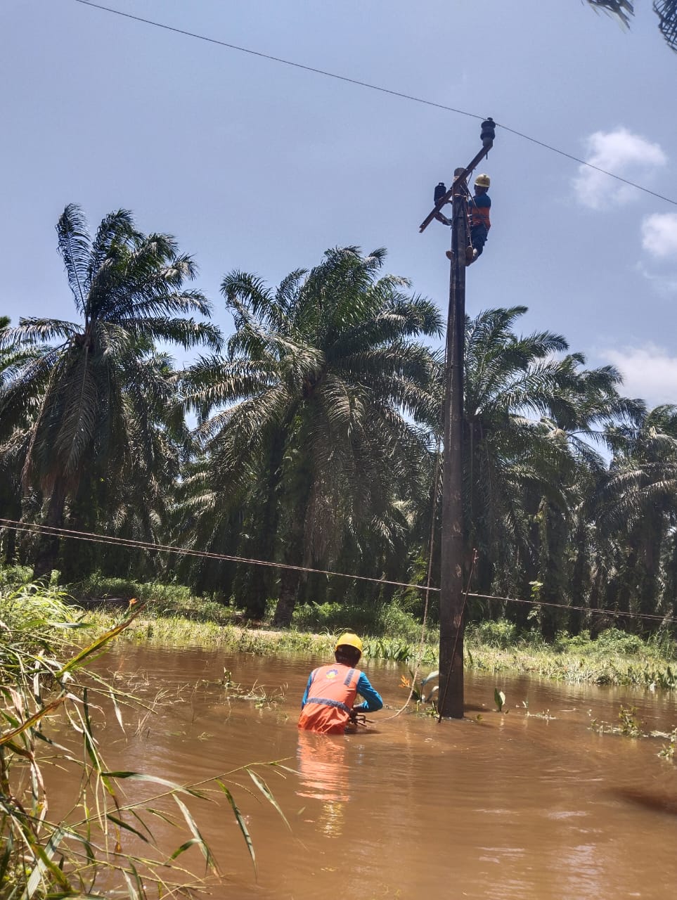 Kurang Dari 24 Jam, PLN Berhasil Pulihkan Kelistrikan Di Mandailing Natal