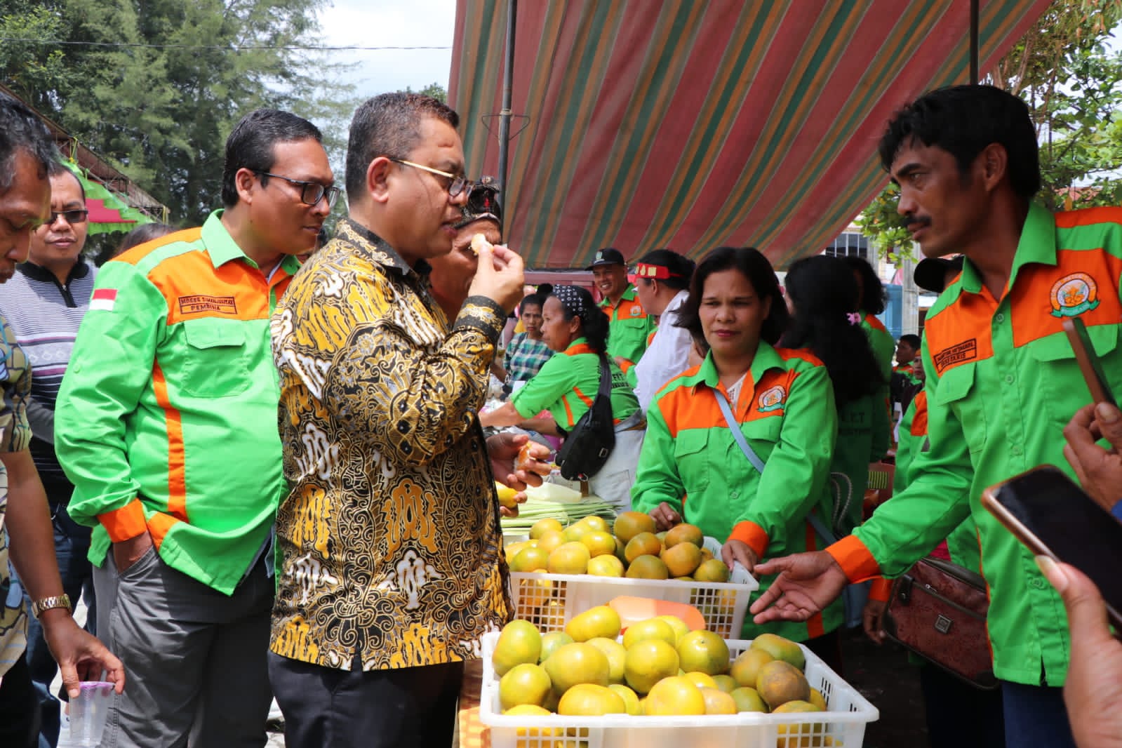 Bupati Toba Ajak Petani Beralih Ke Pupuk Organik