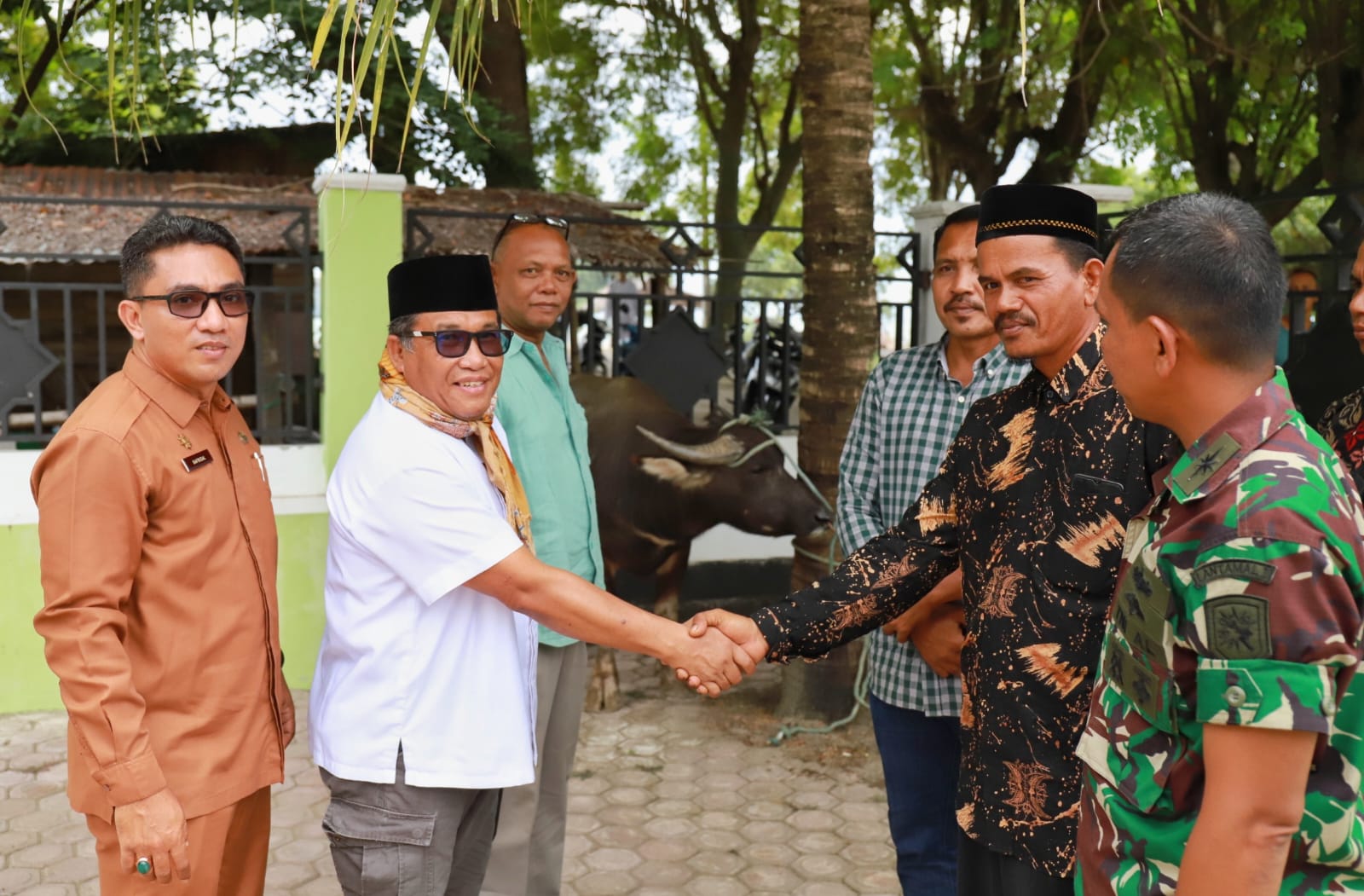 Pj Bupati Pidie Sumbang Kerbau Untuk Kenduri Laot