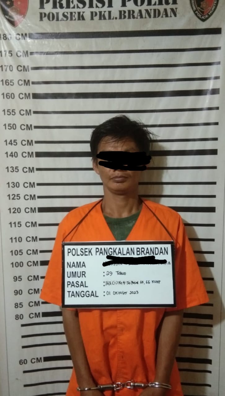 Pencuri Ratusan Bebek Ditangkap Polisi Brandan