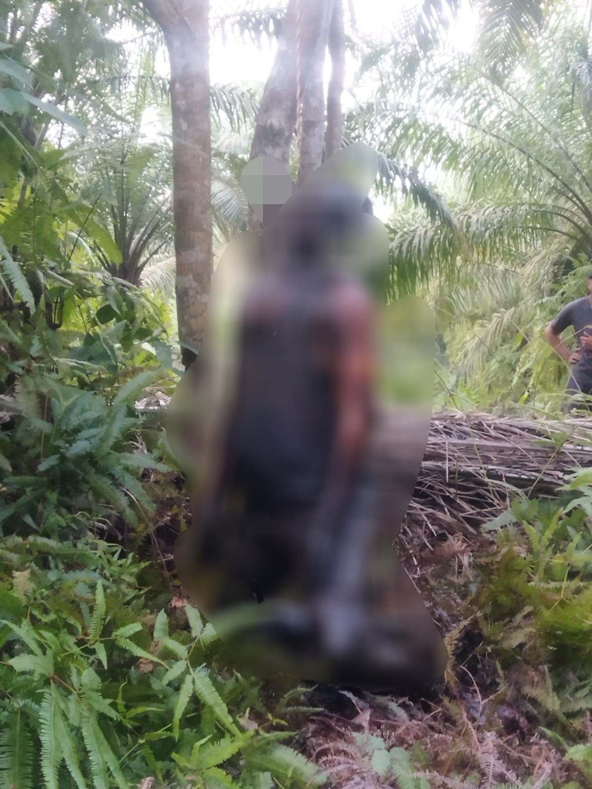 Pengusaha RM Padang Ditemukan Tewas Dengan Kondisi Tragis